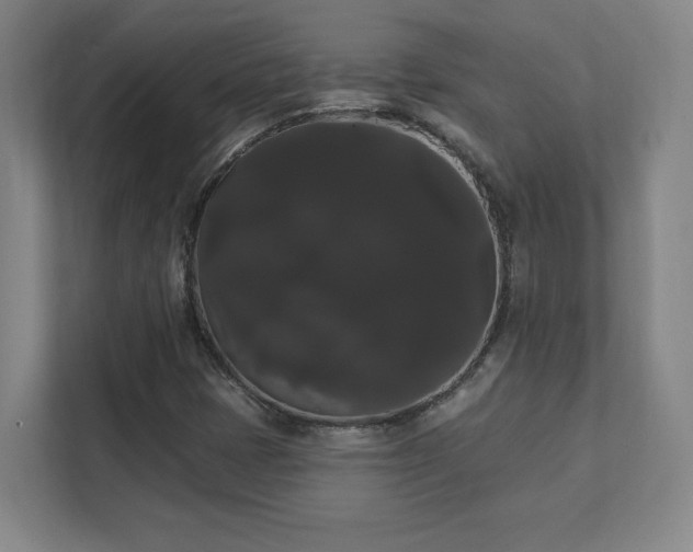 X0000111441401200907201119
