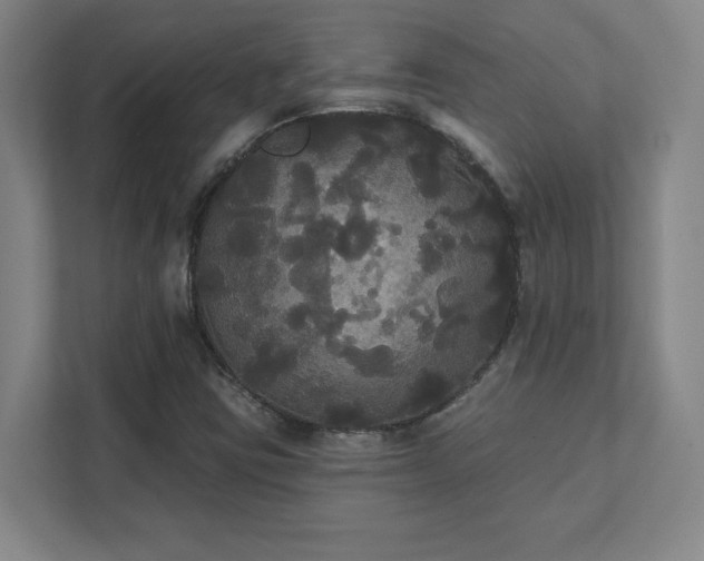 X0000111441403200907201119