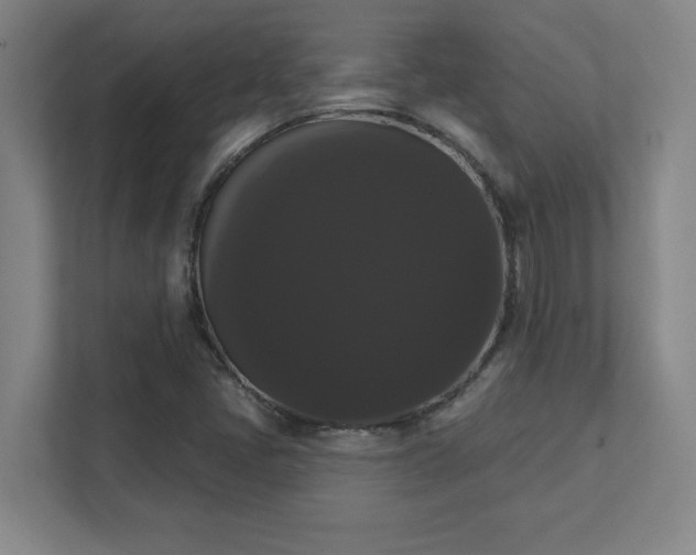 X0000111441405200907201119