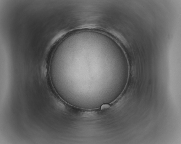 X0000111441406200907201119