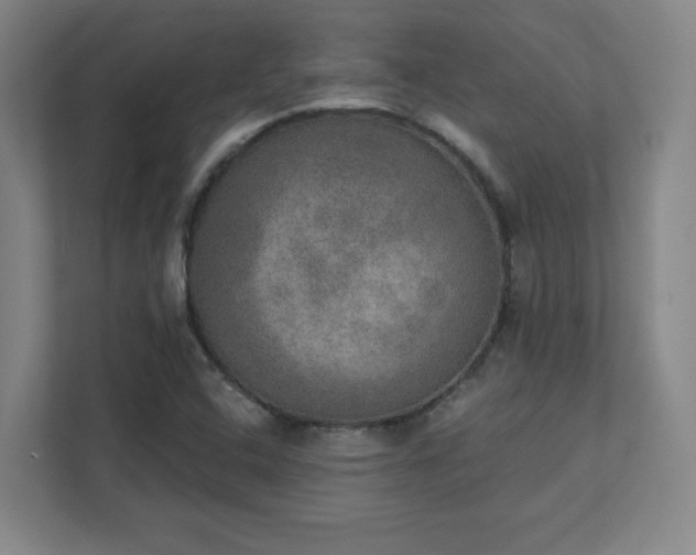 X0000111441408200907201119