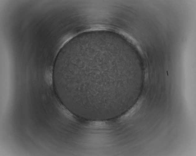 X0000111441409200907201119