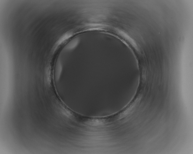 X0000111441411200907201119