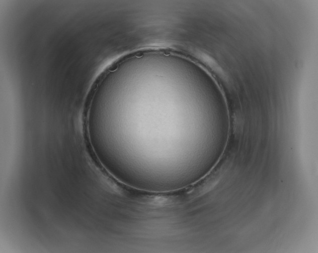 X0000111441412200907201119