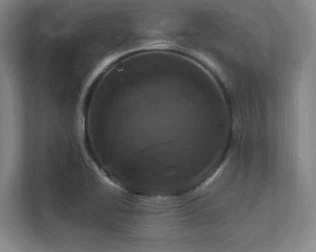 X0000111441414200907201119
