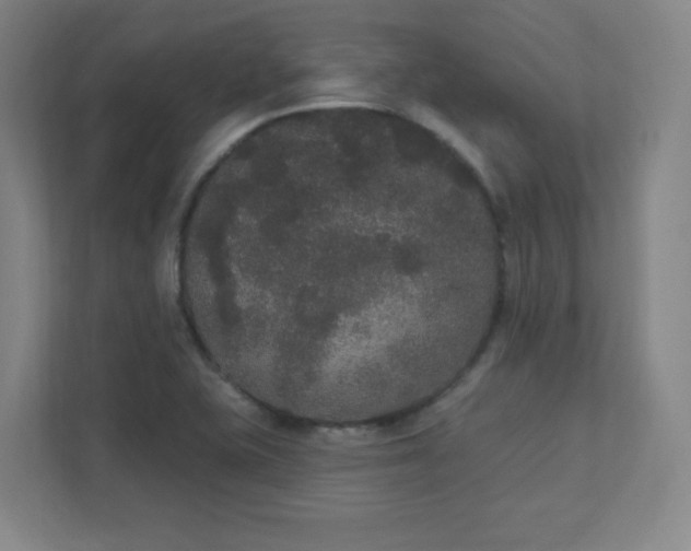 X0000111441415200907201119