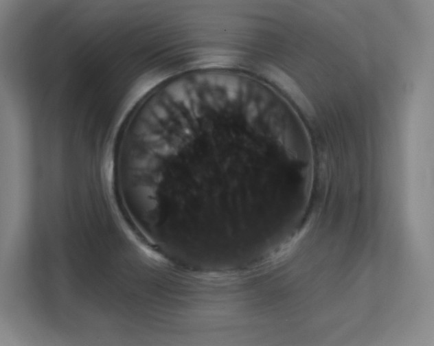 X0000111441418200907201119