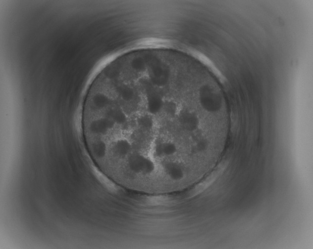 X0000111441421200907201119