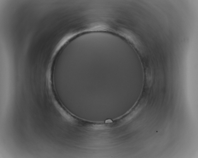 X0000111441422200907201119