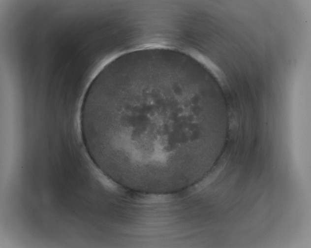 X0000111441423200907201119