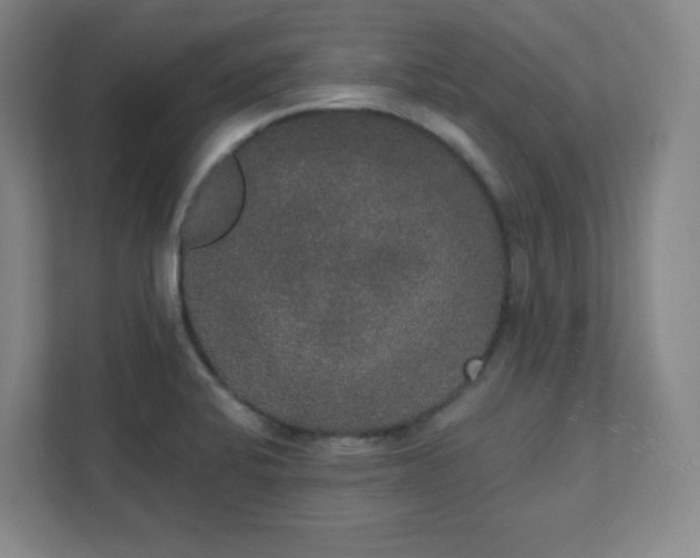 X0000111441424200907201119