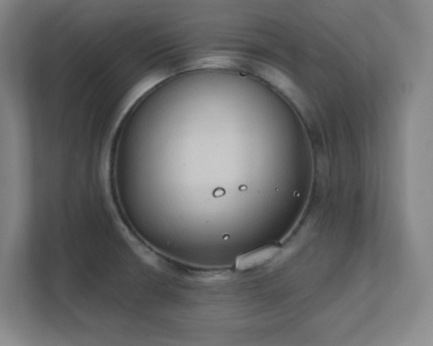 X0000111441426200907201119