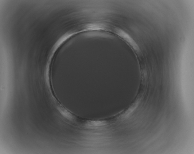 X0000111441427200907201119