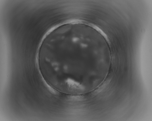 X0000111441429200907201119