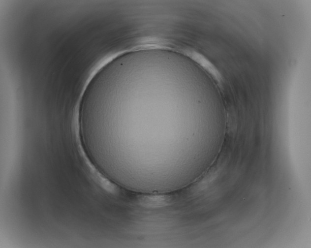 X0000111441431200907201120
