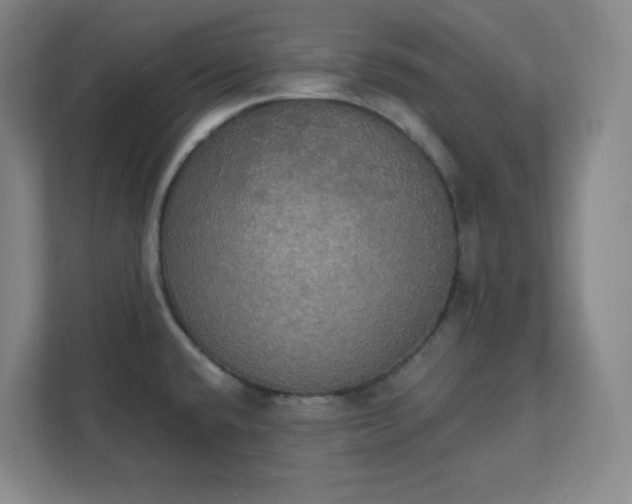 X0000111441432200907201120