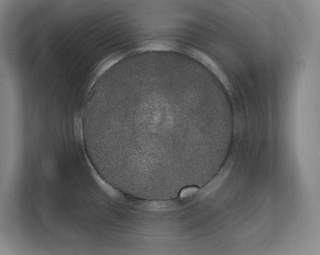 X0000111441433200907201120