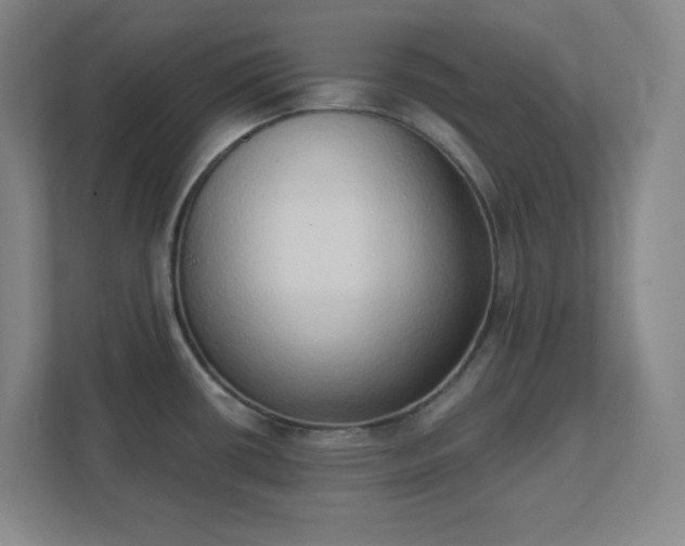 X0000111441434200907201120