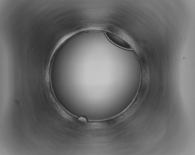 X0000111441436200907201120