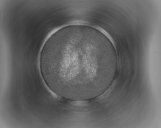 X0000111441437200907201120