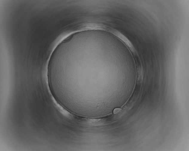 X0000111441439200907201120