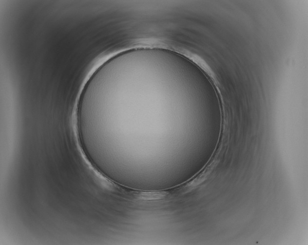 X0000111441440200907201120