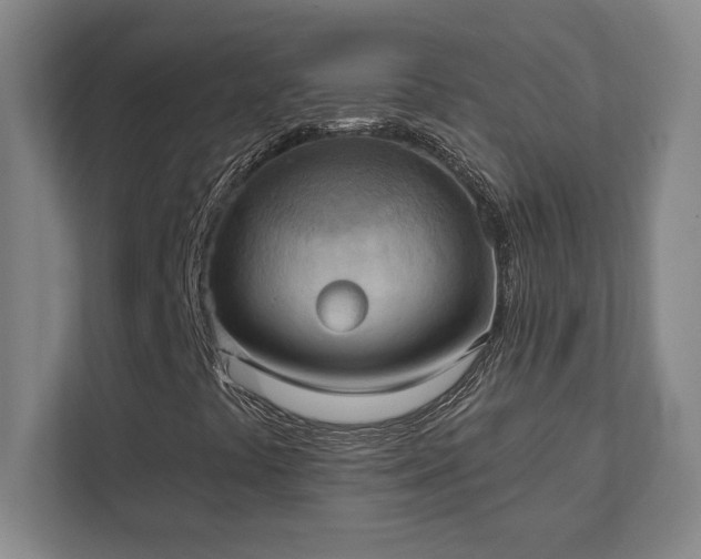 X0000111441441200907201119