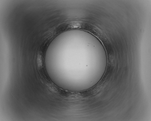 X0000111441442200907201119