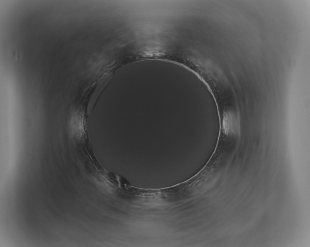 X0000111441444200907201119