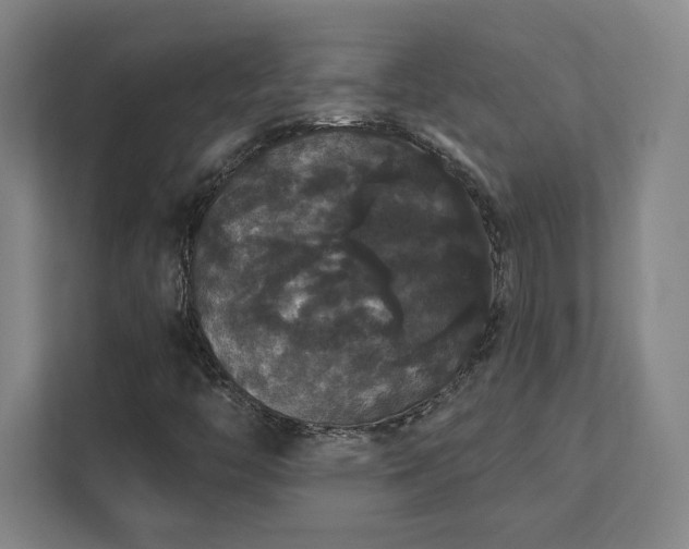 X0000111441446200907201119