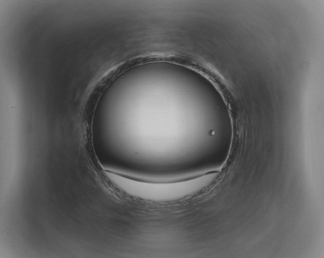 X0000111441448200907201119
