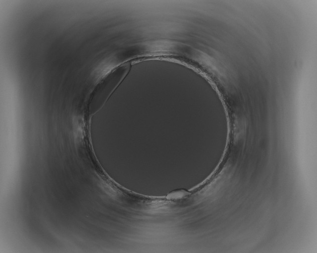 X0000111441449200907201119