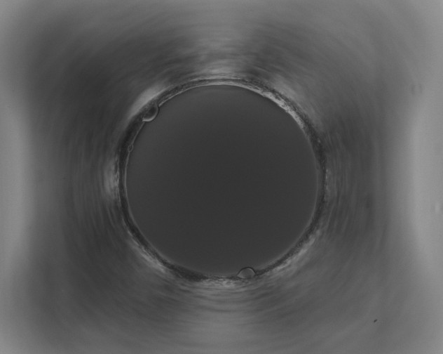 X0000111441450200907201119