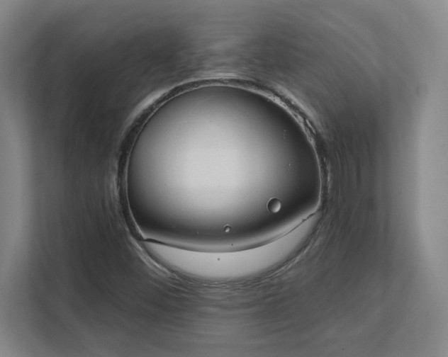 X0000111441452200907201119