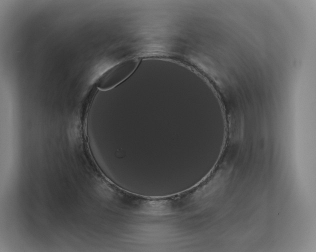 X0000111441453200907201119