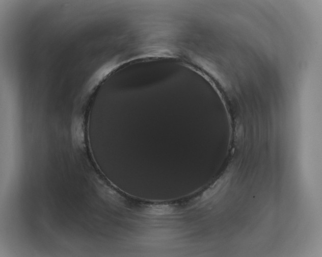 X0000111441455200907201119