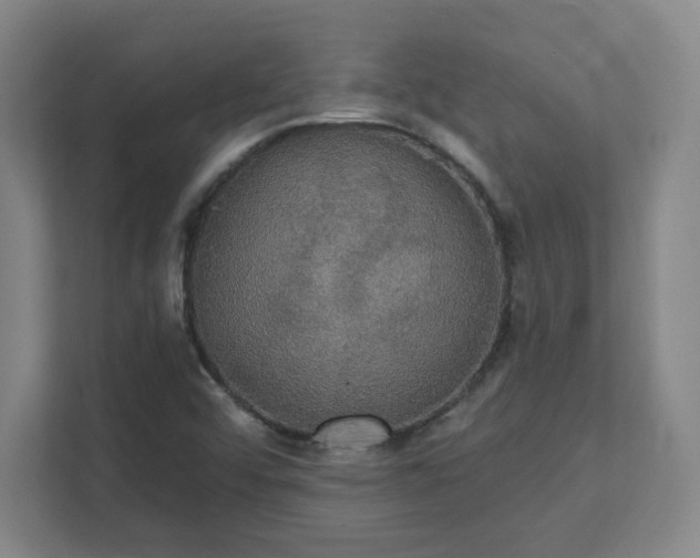 X0000111441456200907201119