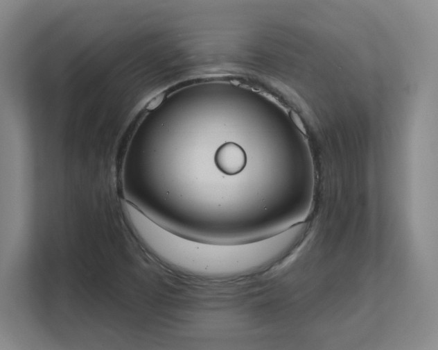 X0000111441457200907201119