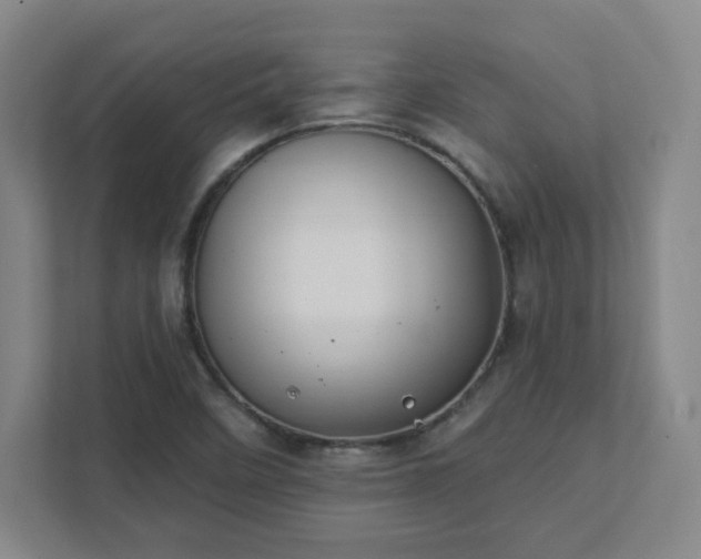 X0000111441458200907201119