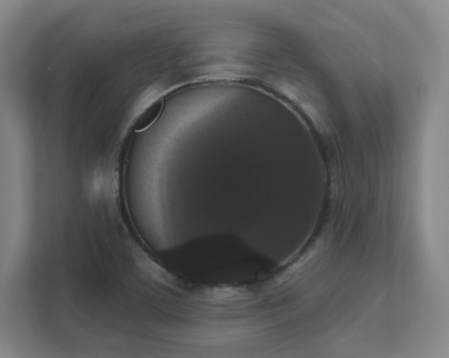 X0000111441459200907201119