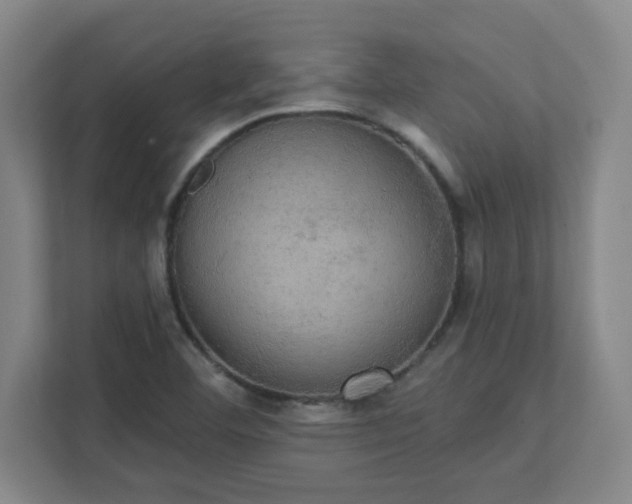 X0000111441460200907201119