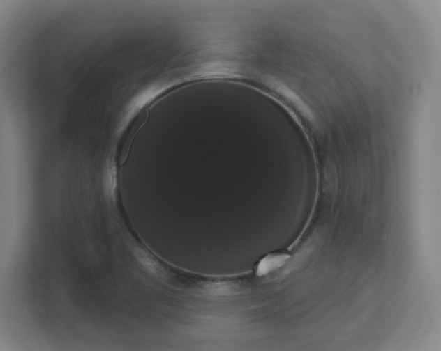 X0000111441461200907201119