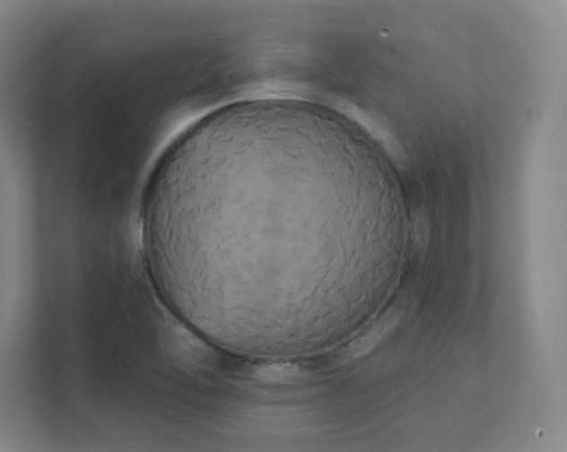 X0000111441462200907201119