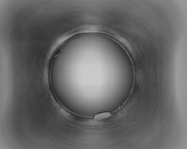 X0000111441464200907201119