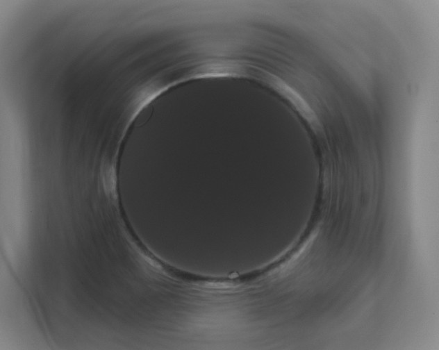X0000111441465200907201119
