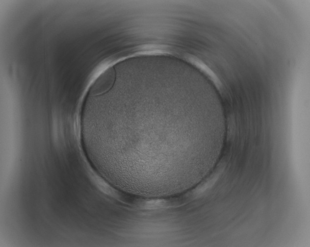 X0000111441467200907201119