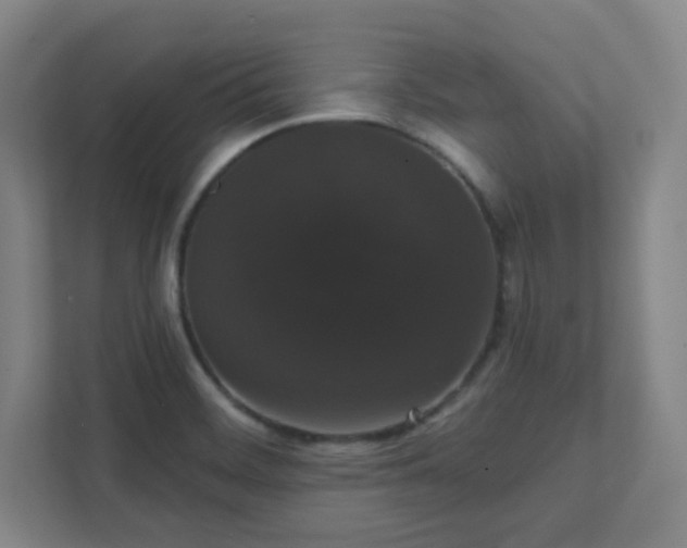 X0000111441468200907201119