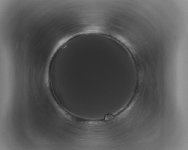 X0000111441469200907201119