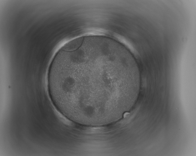 X0000111441471200907201119
