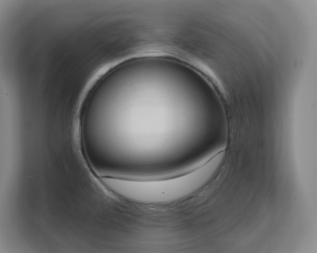 X0000111441472200907201119